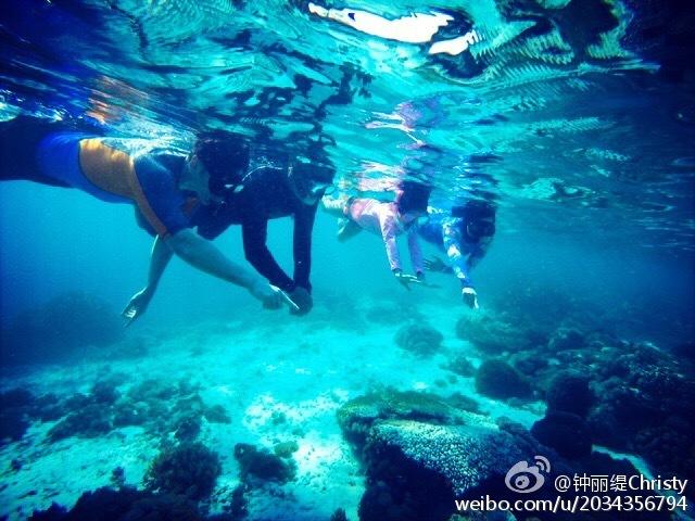 机智问答网页-智慧答疑,胡萝卜上的绿色突起是什么?你发问